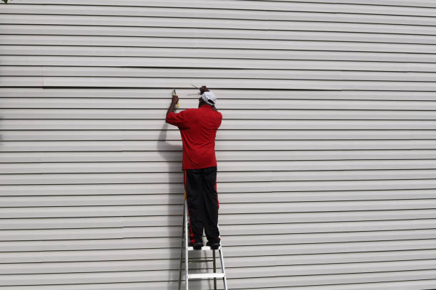 Affordable Siding Repair and Maintenance Services in Wesley Chapel, FL